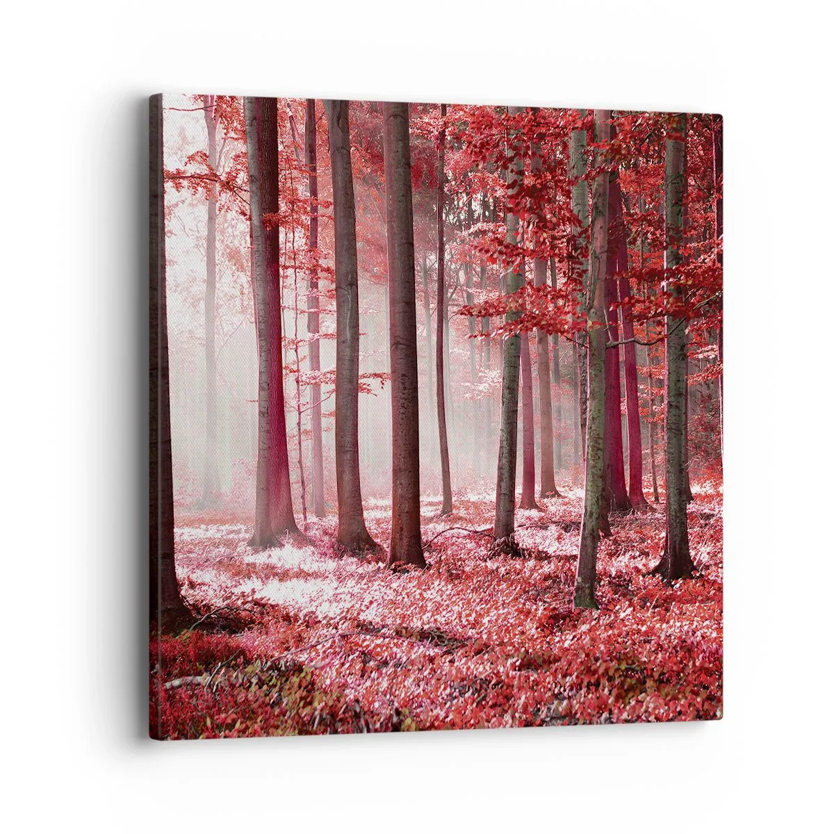 Impression sur toile - Image sur toile - Le rouge est tout aussi beau - 40x40 cm