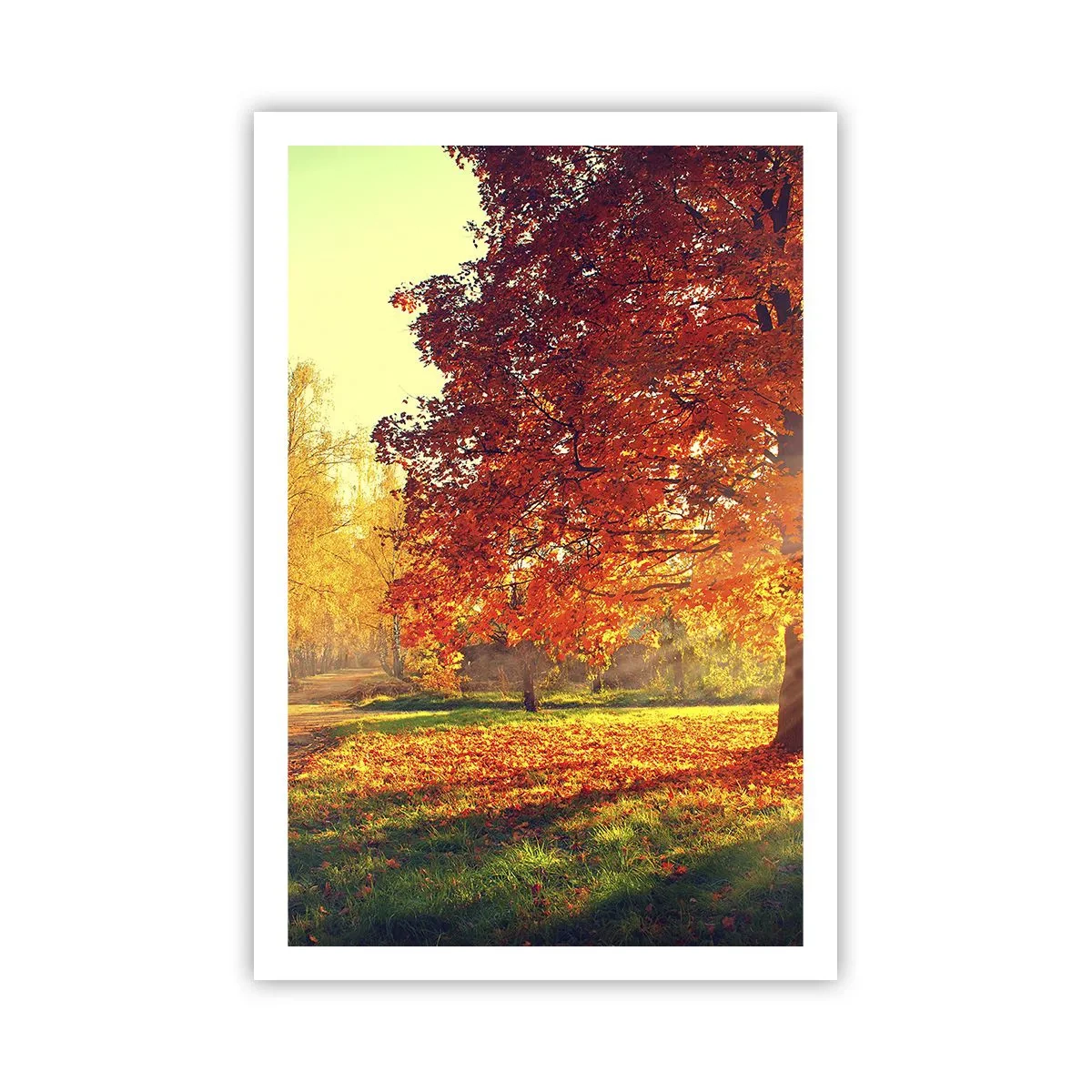 Affiche - Poster - Le roux est beau - 61x91 cm