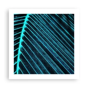 Affiche - Poster - Texture verte - 50x50 cm