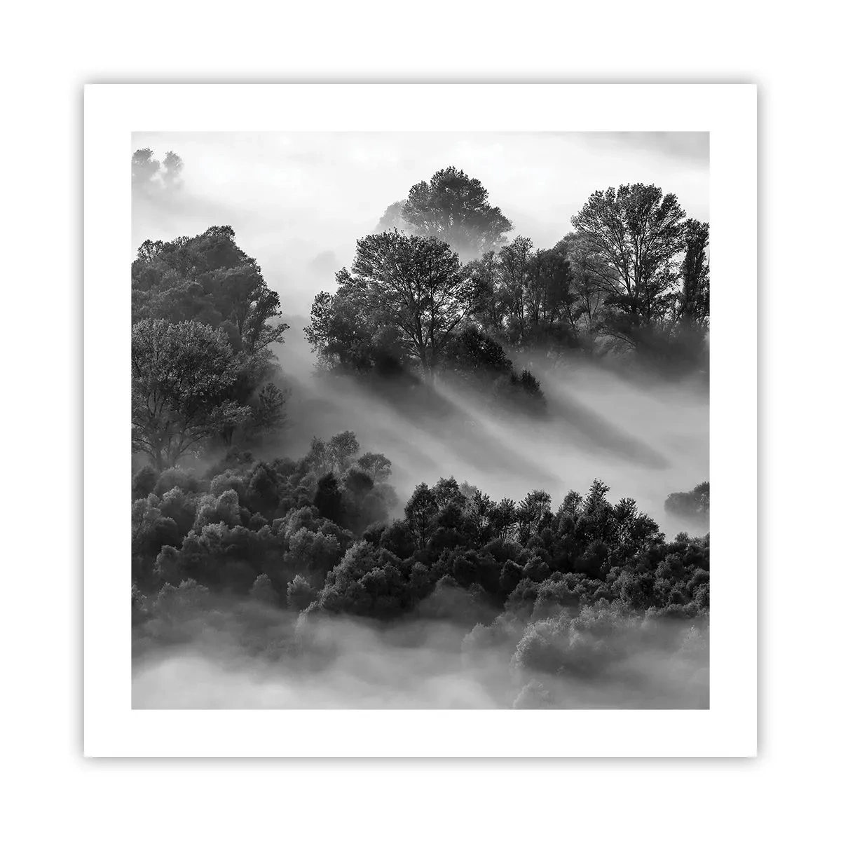 Affiche - Poster - Sortir de son sommeil - 50x50 cm