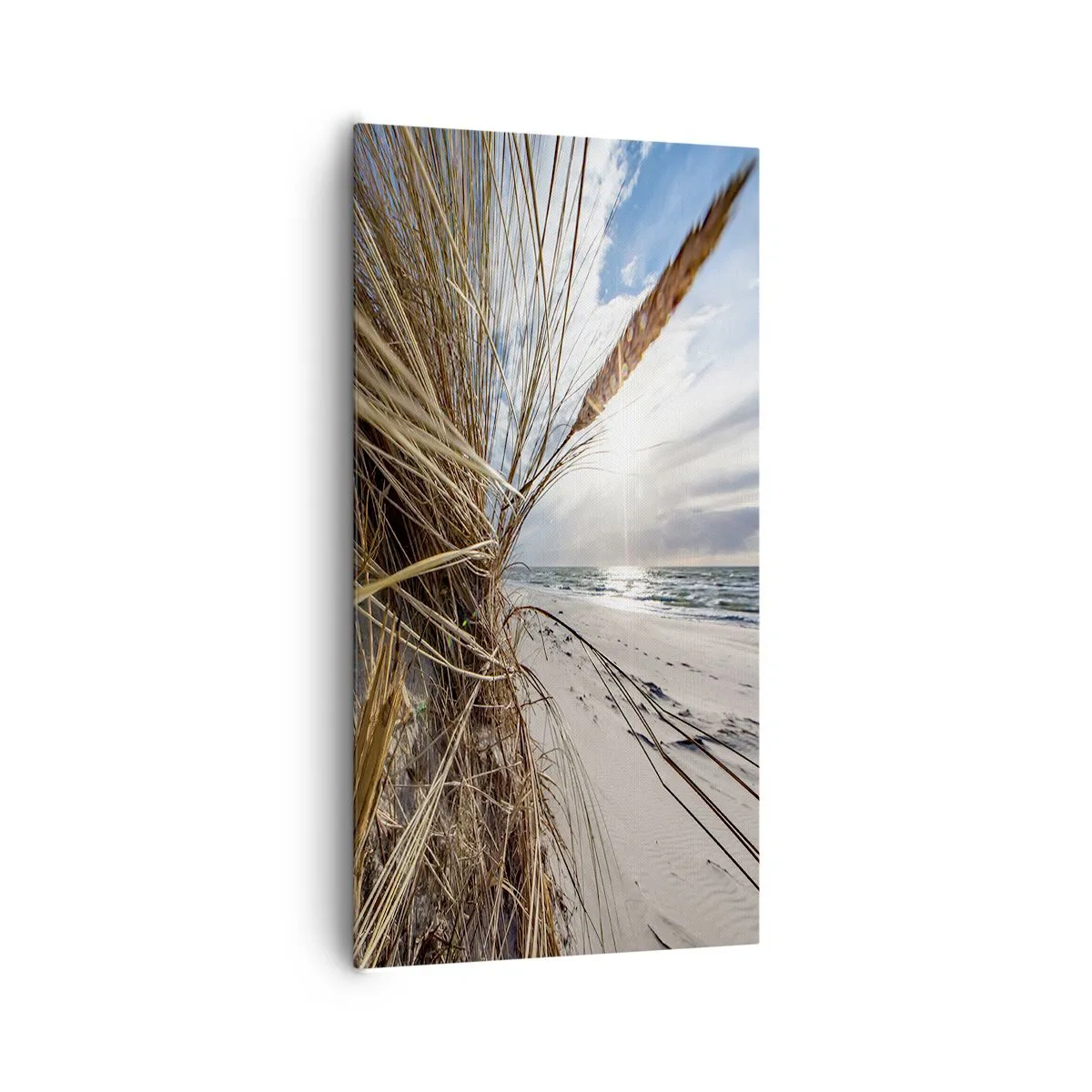 Impression sur toile - Image sur toile - Rencontre des éléments - 65x120 cm