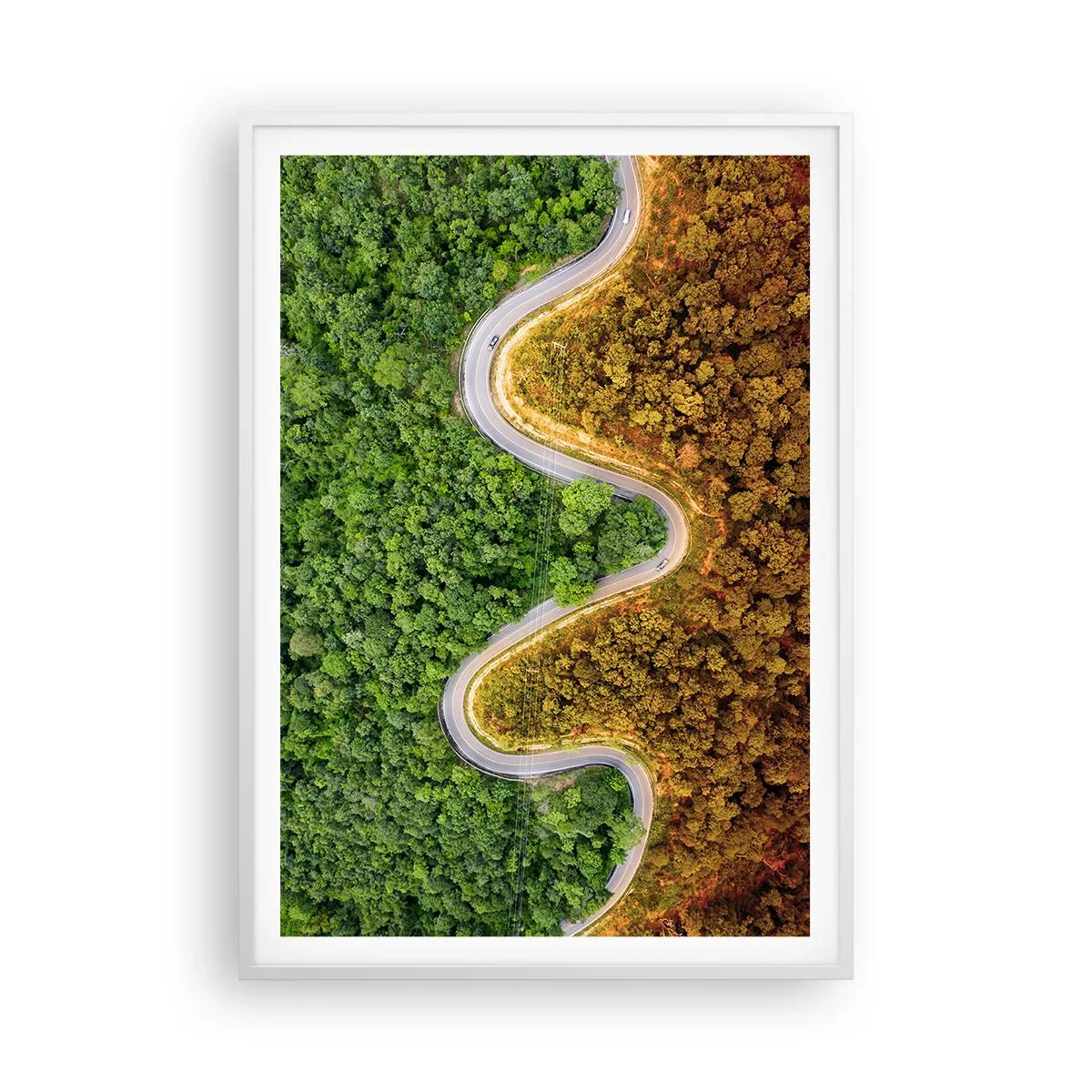 Affiche dans un cadre blanc - Poster - Frontieres et differences - 70x100 cm