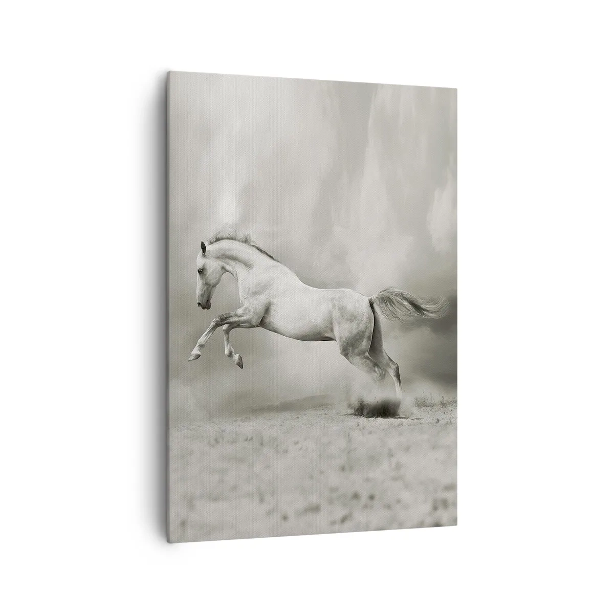 Impression sur toile - Image sur toile - Un cheval blanc dans un saut dynamique sur fond de nuages brumeux. - 70x100cm - Entre le réveil et le sommeil - Décoration murale moderne pour le salon et la chambre ARTTOR