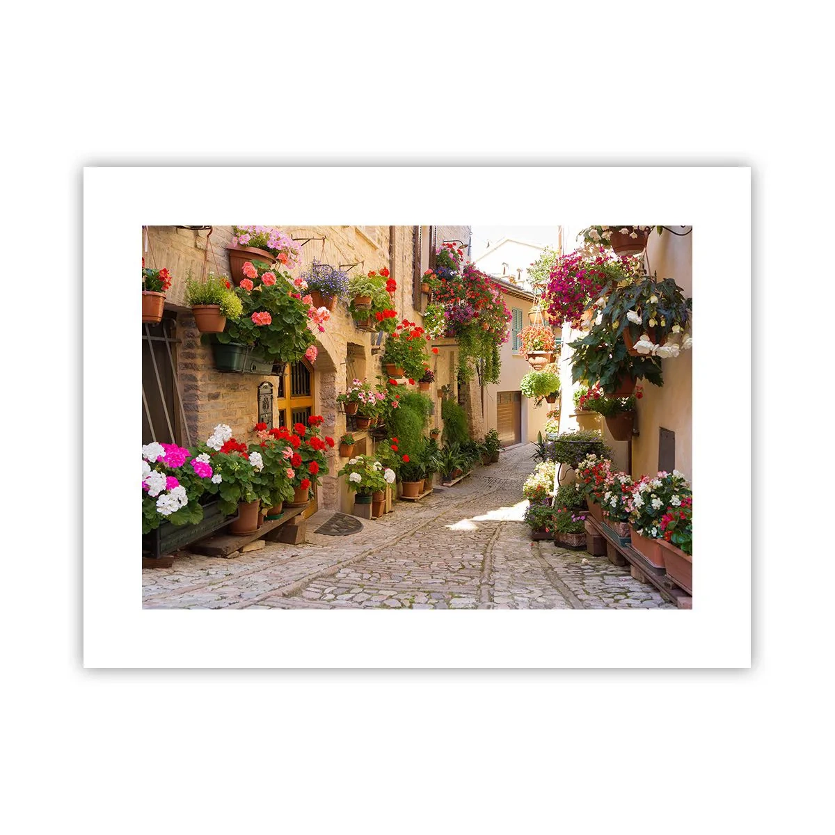 Affiche - Poster - Une inondation de fleurs  - 40x30 cm