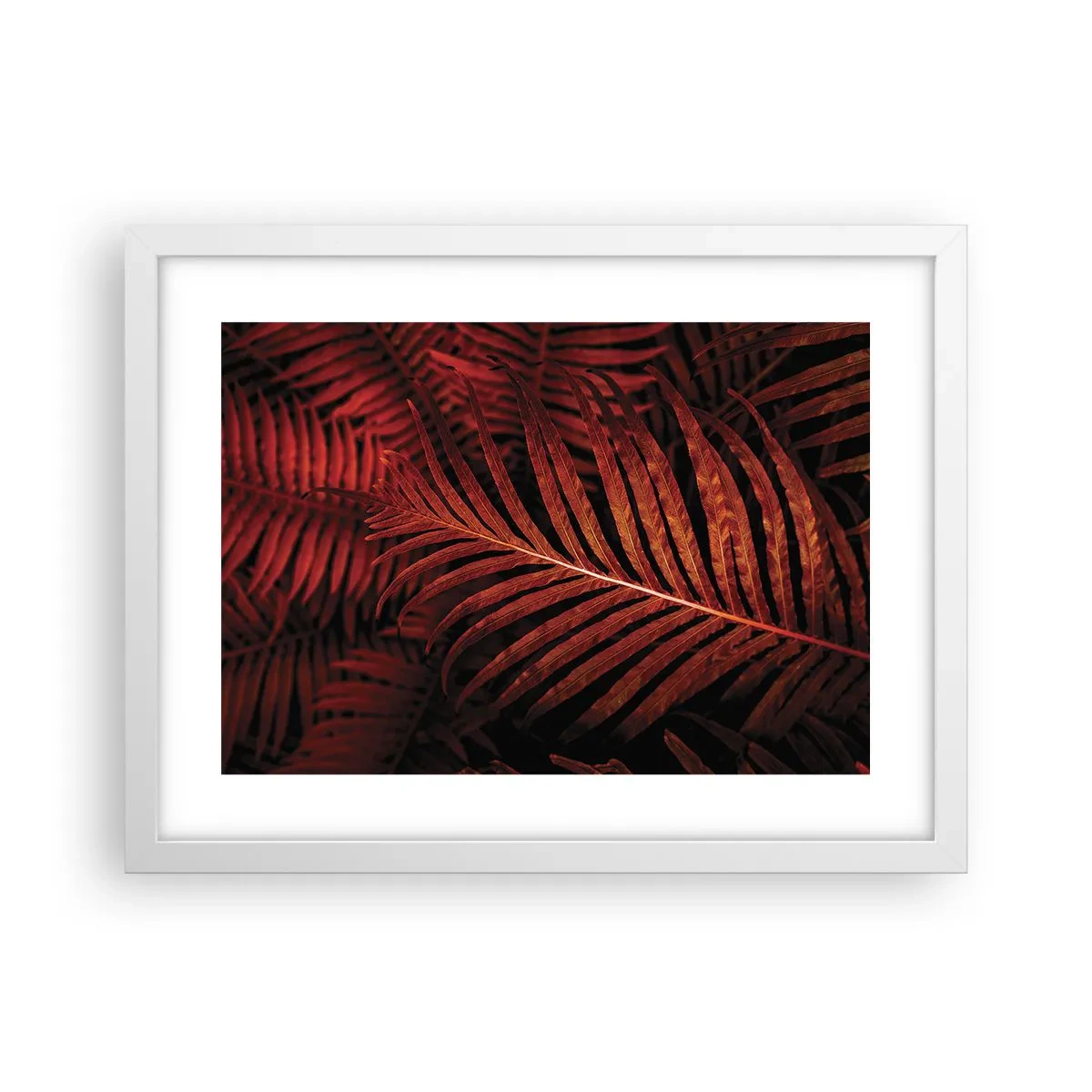 Affiche dans un cadre blanc - Poster - Chaleur de la vie - 40x30 cm