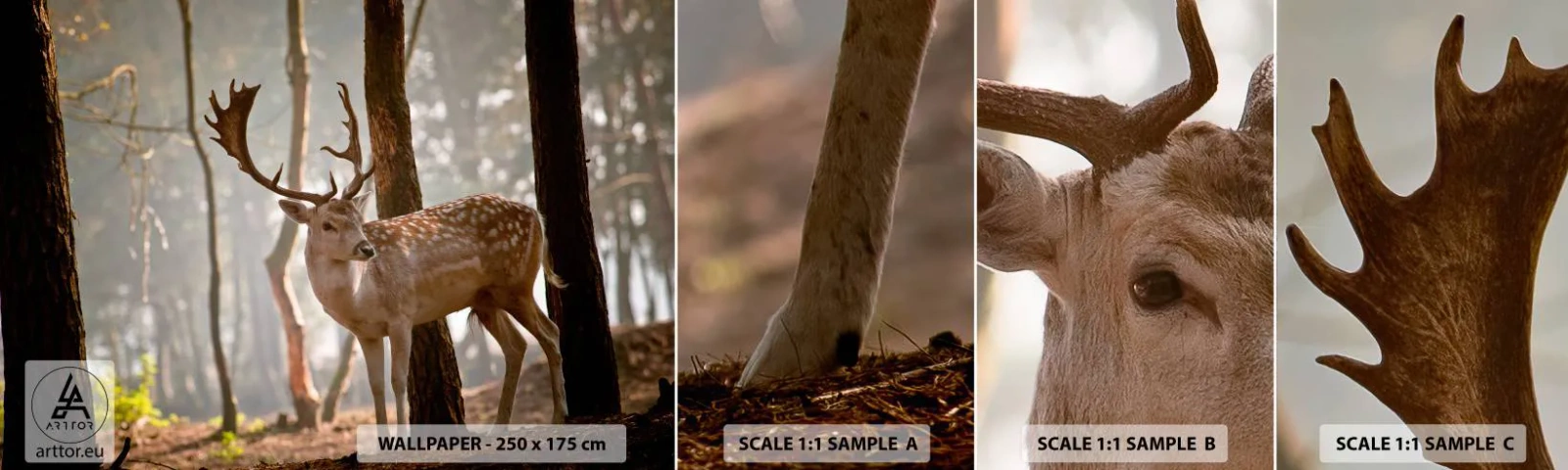 Échantillon De Papier Peint Standard Eco - La lumière de la jeunesse - Animaux, Cerf, Forêt - 100x30 cm