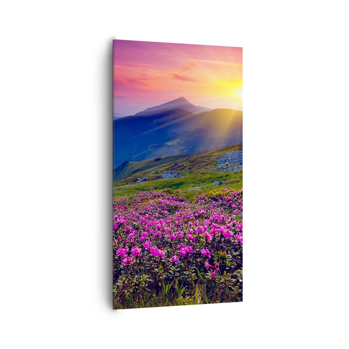 Impression sur toile - Image sur toile - … Et autour, ça sent le pin des montagnes et l'odeur de la prairie - 65x120 cm