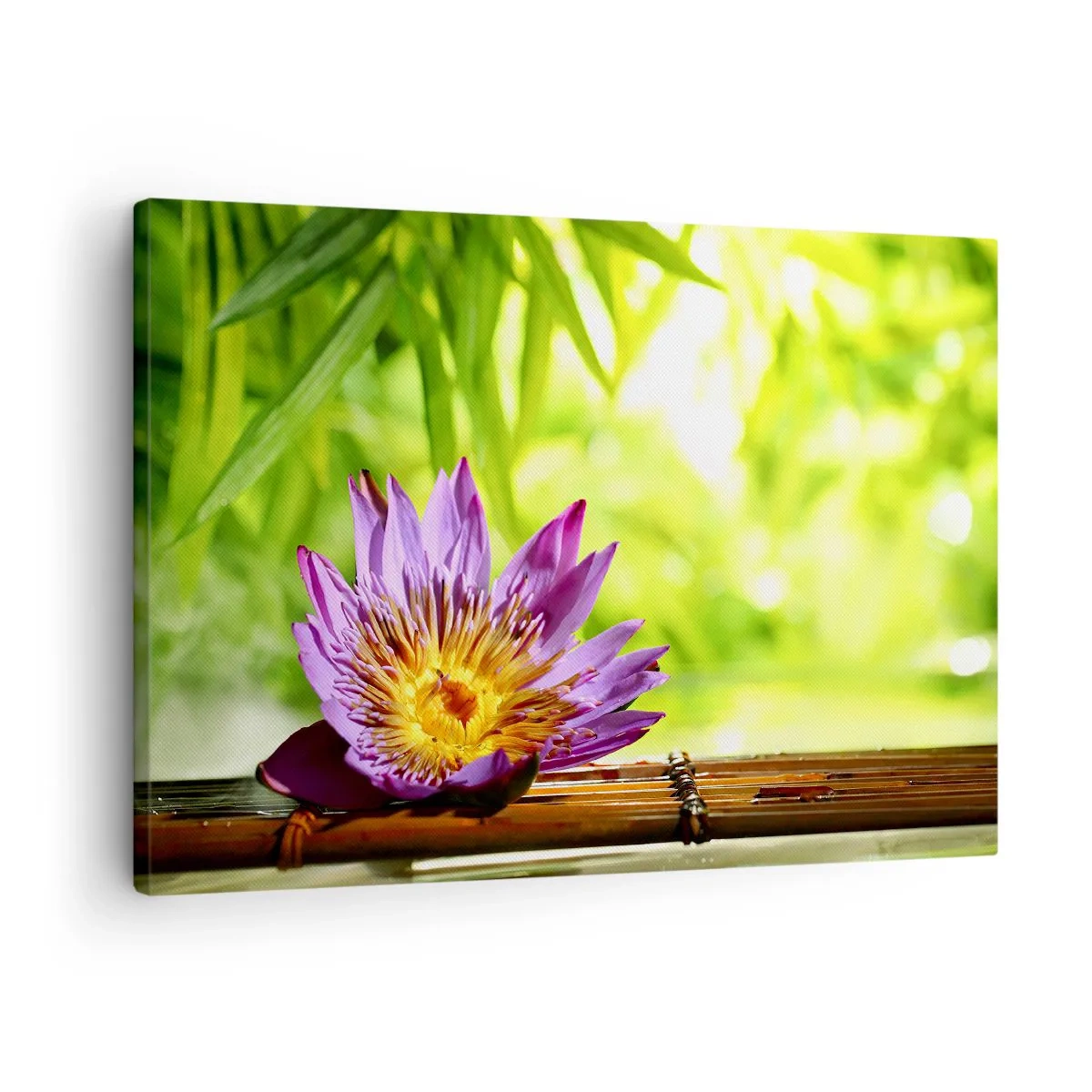 Impression sur toile - Image sur toile - Fleur de lotus violette sur fond de feuilles de bambou vertes - 70x50cm - Sous le soleil asiatique - Décoration murale moderne pour le salon et la chambre ARTTOR