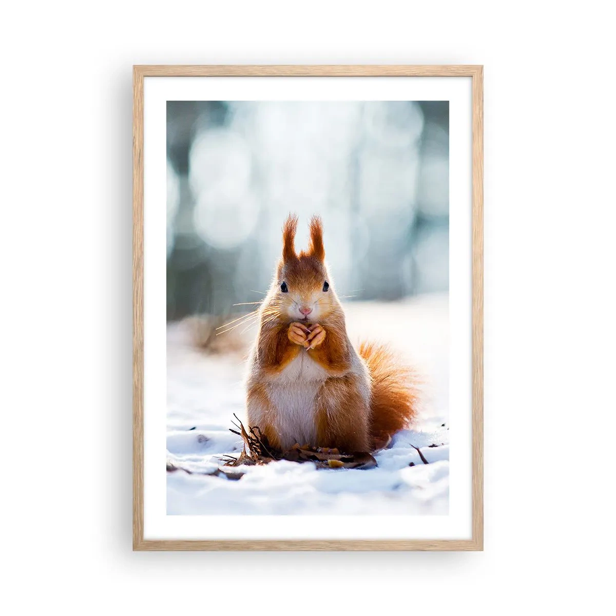 Affiche dans un chêne clair - Poster - Qu'est ce que tu regardes comme ça? - 50x70 cm