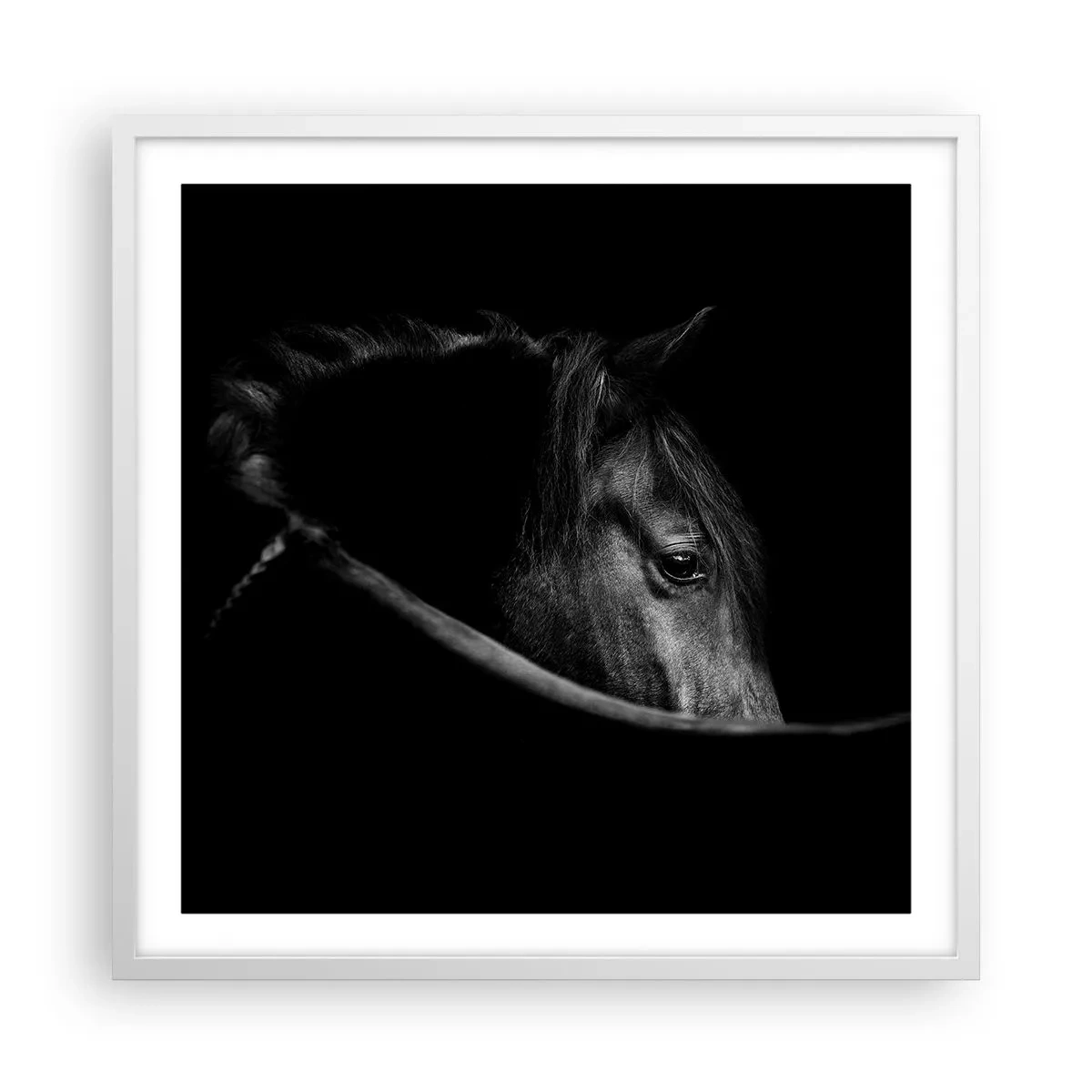 Affiche dans un cadre blanc - Poster - Prince Noir - 60x60 cm