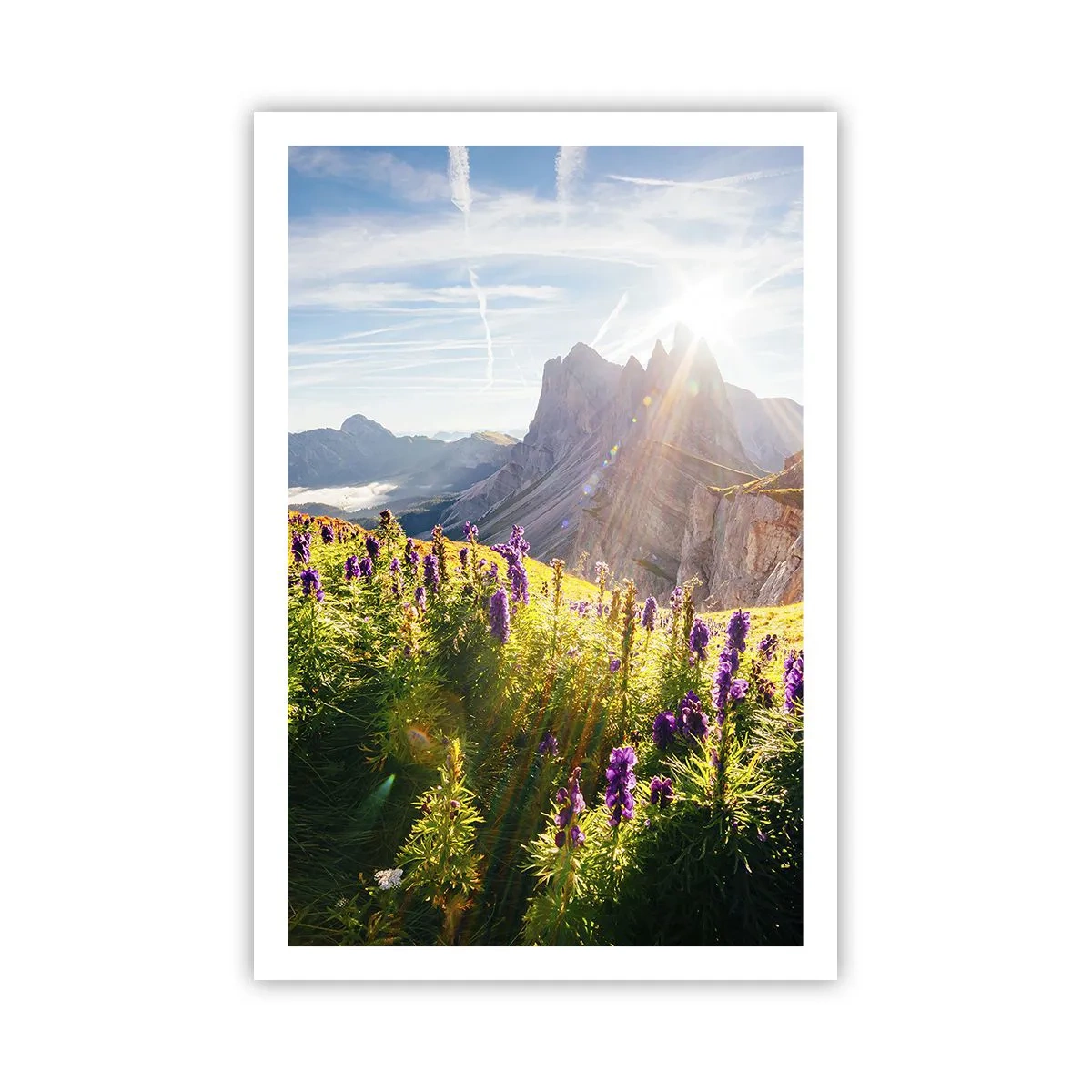 Affiche - Poster - La vie secrète des herbes - 61x91 cm