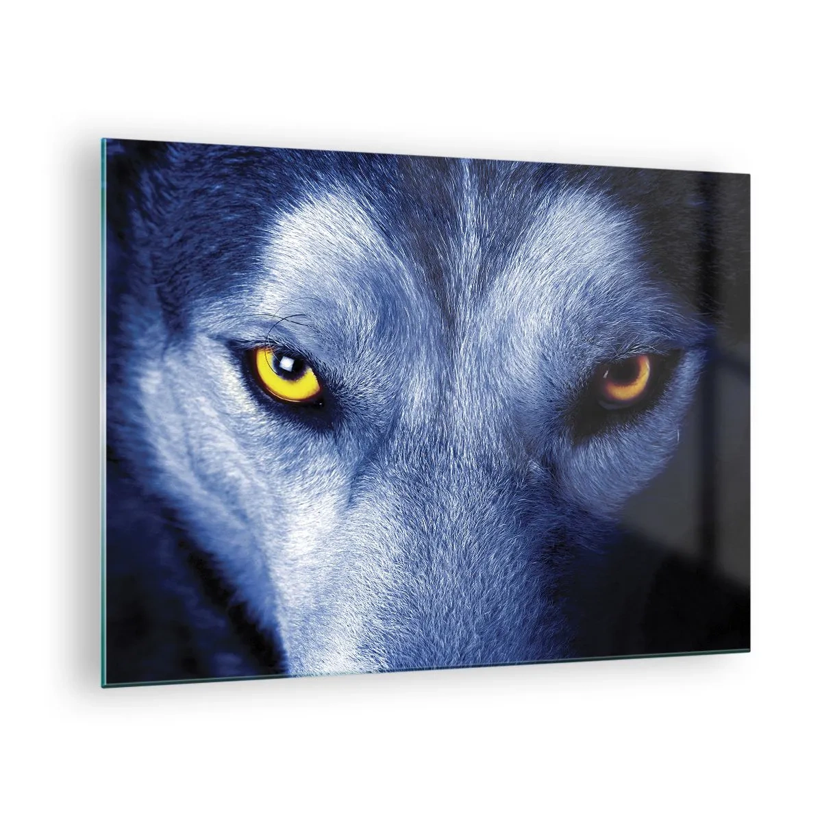 Impression sur verre - Image sur verre - Le regard envoûtant d'un loup - 70x50cm - Regars hypnotique - Décoration murale moderne pour le salon et la chambre ARTTOR