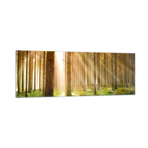 Impression sur verre - Image sur verre - Les elfes vont bientôt apparaître - 90x30 cm