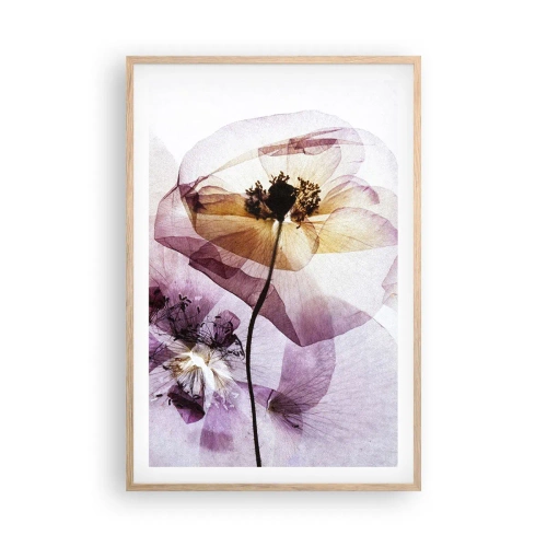 Affiche dans un chêne clair - Poster - Corps de fleurs transparente - 61x91 cm