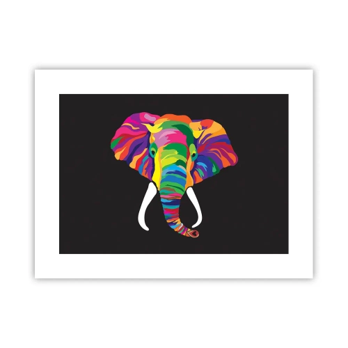 Affiche - Poster - L'éléphant qui aimait se baigner dans un arc-en-ciel - 40x30 cm
