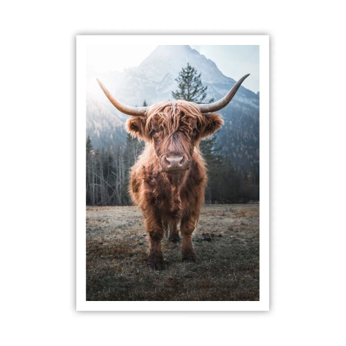 Affiche - Poster - Salutations des prairies de montagne - 70x100 cm