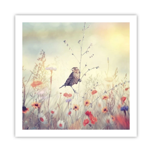 Affiche - Poster - Portrait d'oiseau sur pré en fond - 60x60 cm
