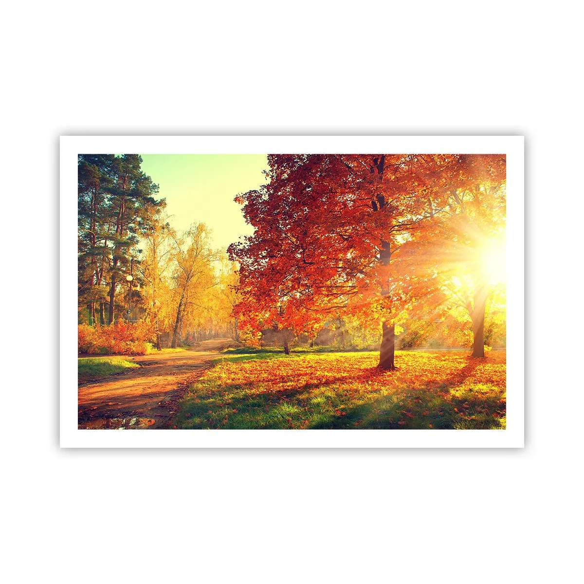 Affiche - Poster - Le roux est beau - 91x61 cm