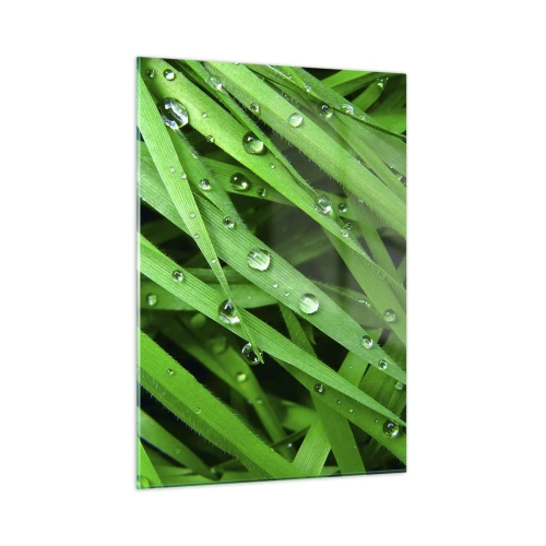 Impression sur verre - Image sur verre - Des brins d'herbe verts avec des gouttes de rosée - 50x70cm - Jouez dans le vert - Décoration murale moderne pour le salon et la chambre ARTTOR