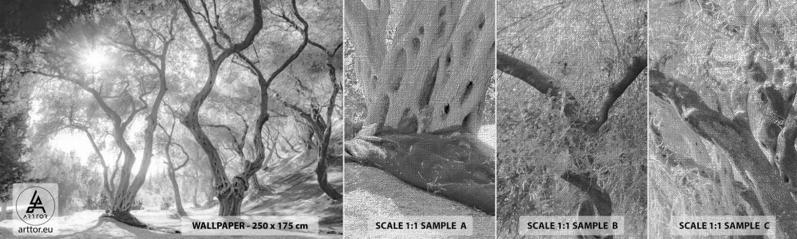 Échantillon de Papier Peint Premium Canvas - Dans l'oliveraie - Forêt, Hiver, Des arbres - 100x30 cm