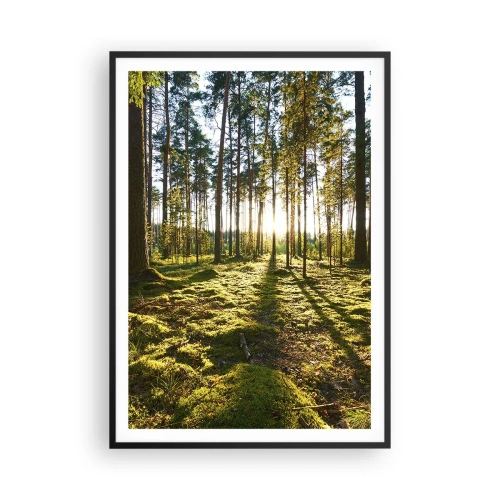 Affiche dans un cadre noir - Poster - … Derrière les sept forêts - 70x100 cm