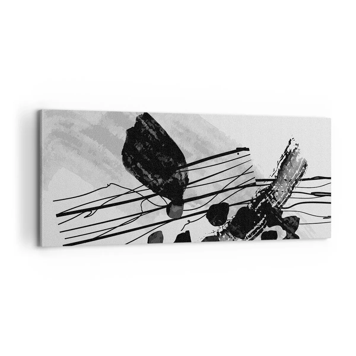 Impression sur toile - Image sur toile - Abstraction organique noir et blanc - 100x40 cm