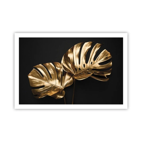 Affiche - Poster - Les trésors de la nature - 91x61 cm