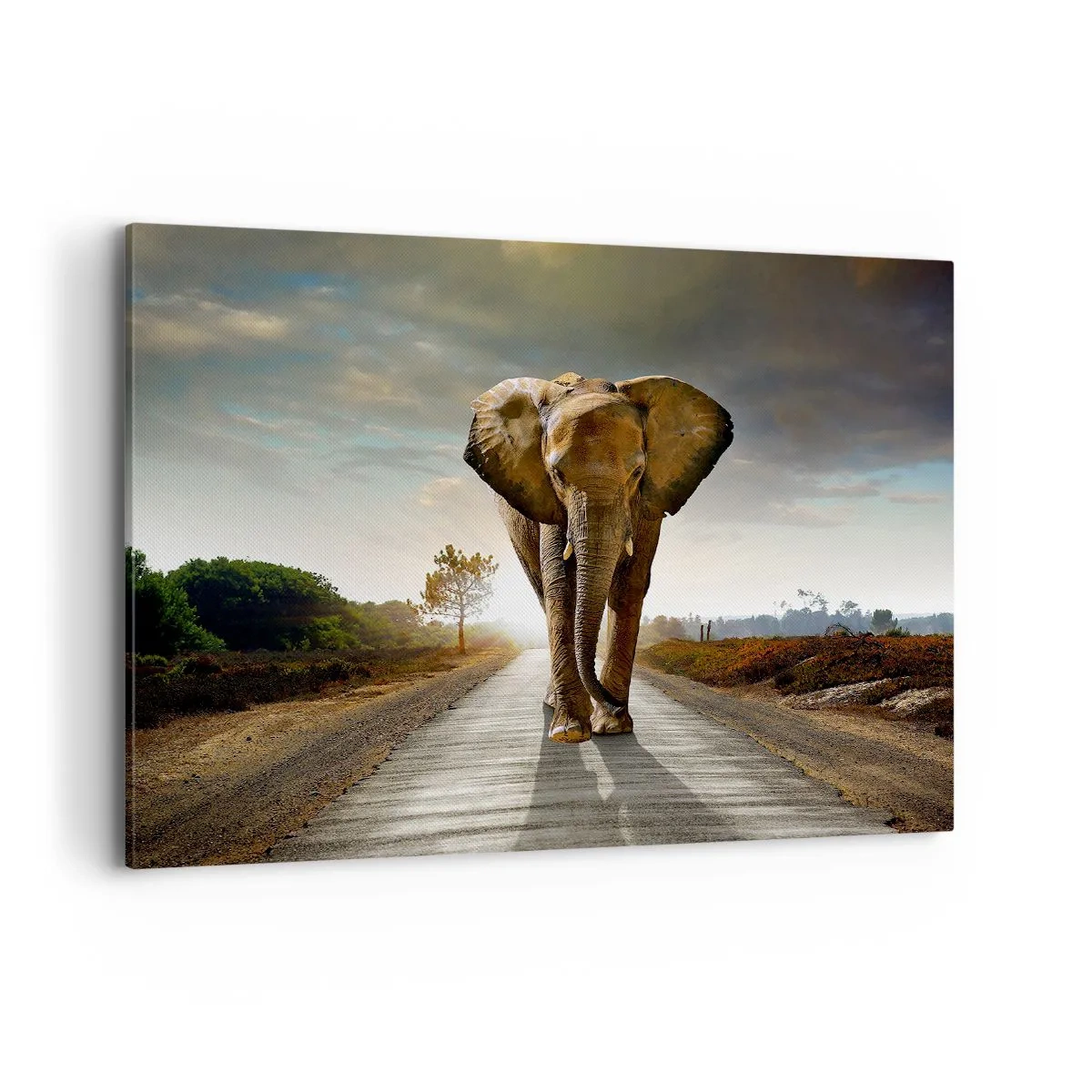 Impression sur toile - Image sur toile - Un éléphant marchant le long d'une route à travers un paysage au coucher du soleil - 100x70cm - Et pas du tout en porcelaine - Décoration murale moderne pour le salon et la chambre ARTTOR