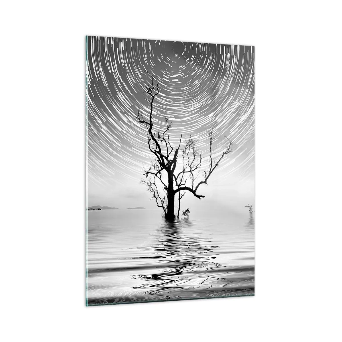 Impression sur verre - Image sur verre - Paysage noir et blanc avec un arbre et des traînées d'étoiles - 50x70cm - La symphonie de la nature - Décoration murale moderne pour le salon et la chambre ARTTOR