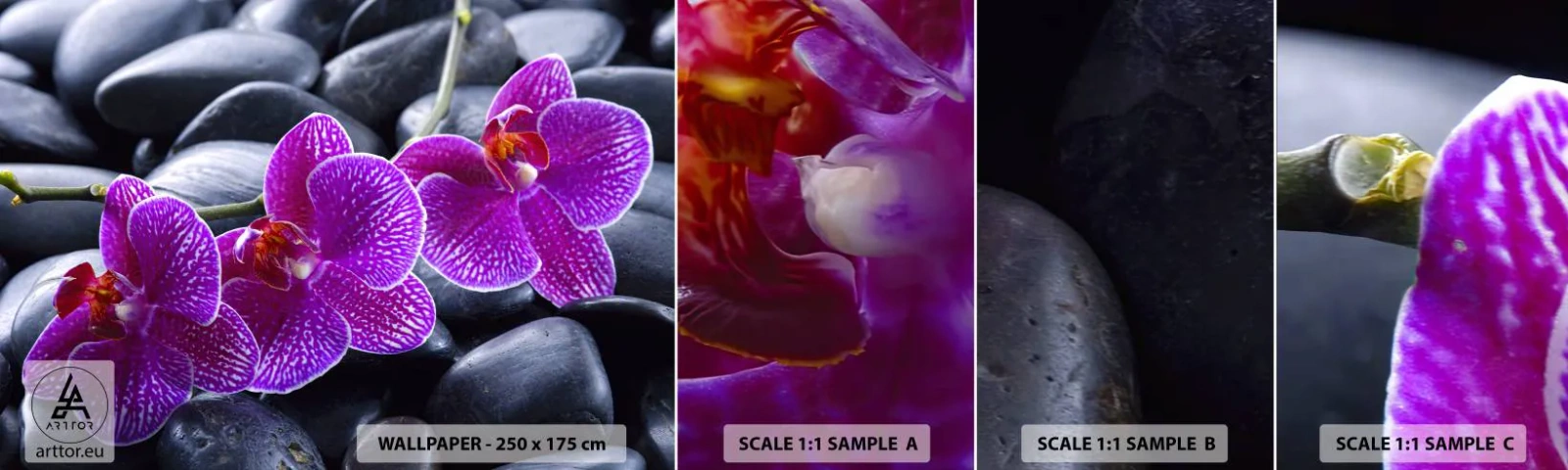 Échantillon De Papier Peint Standard Eco - Les pierres brillaient de joie - Fleurs, Des pierres, Orchidée - 100x30 cm