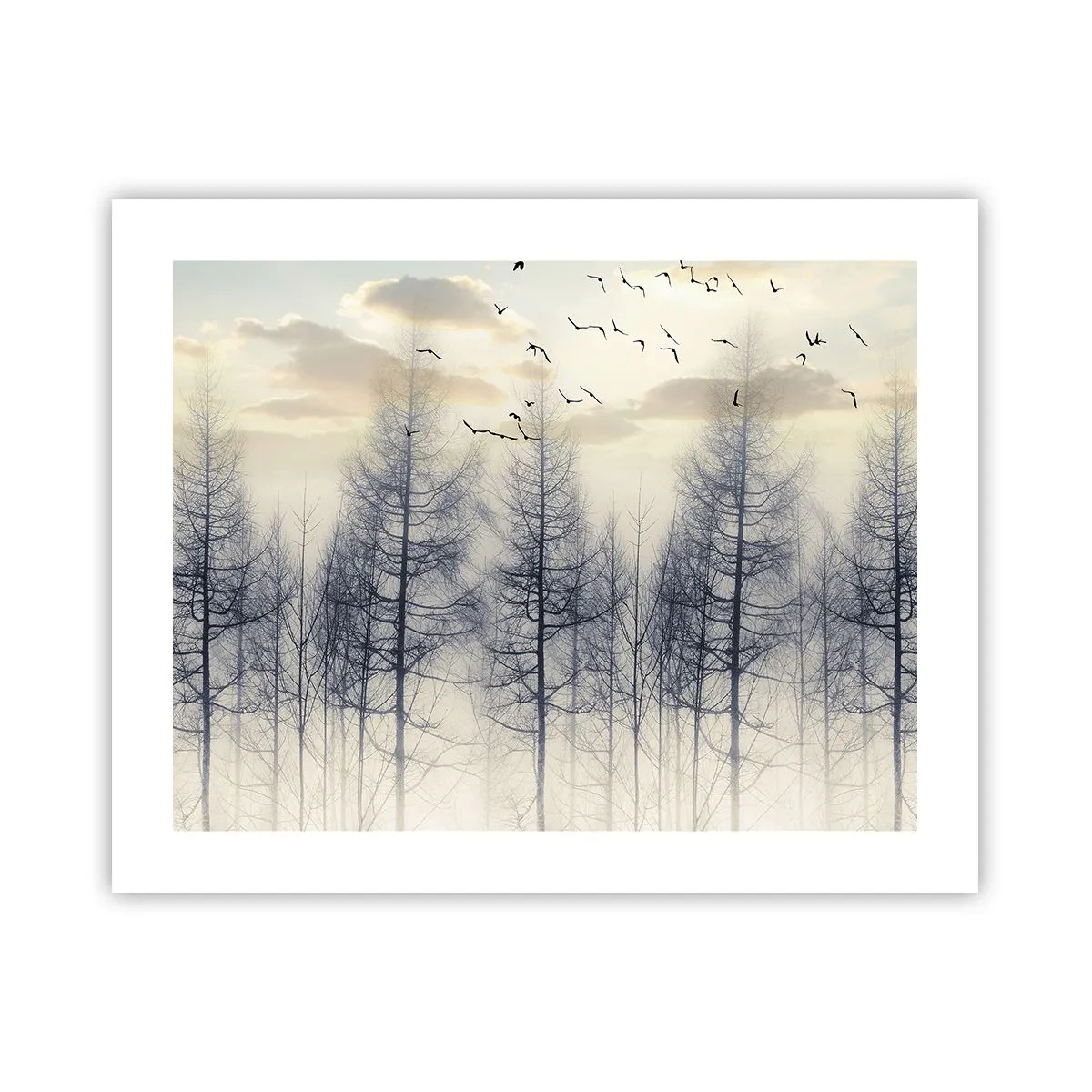 Affiche - Poster - L'âme de la forêt - 50x40 cm