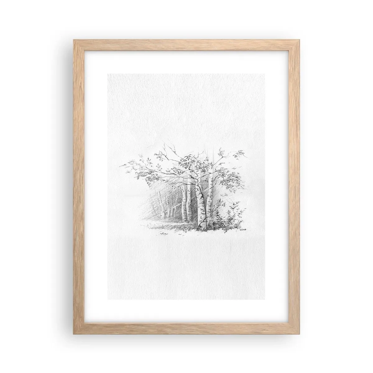 Affiche dans un chêne clair - Poster - Lumière d'une forêt de bouleaux - 30x40 cm