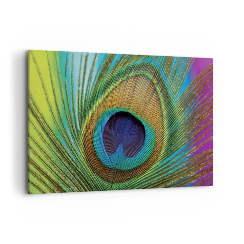Impression sur toile - Image sur toile - Gros plan d'une plume de paon aux couleurs vives - 100x70cm - Les yeux dans les yeux - Décoration murale moderne pour le salon et la chambre ARTTOR