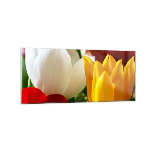 Impression sur verre - Image sur verre - Gros plan de tulipes colorées sur un fond printanier - 120x50cm - La fièvre des tulipes - Décoration murale moderne pour le salon et la chambre ARTTOR