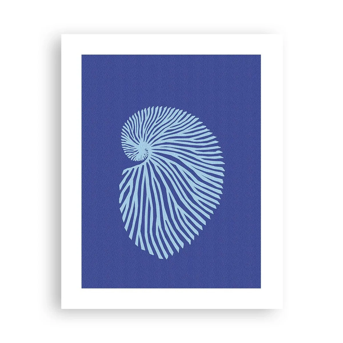 Affiche - Poster - La naissance de la coquille - 40x50 cm