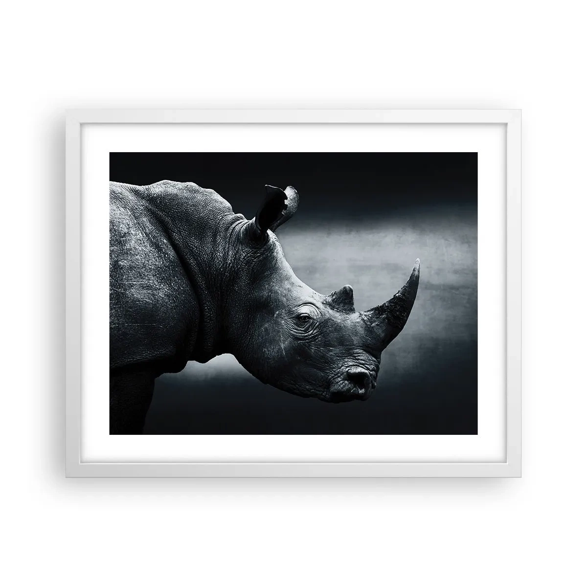 Affiche dans un cadre blanc - Poster - Le profil droit - 50x40 cm
