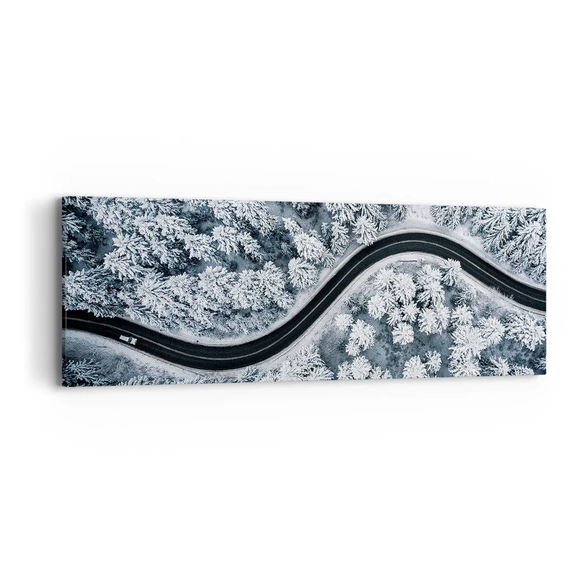 Impression sur toile - Image sur toile - À travers une forêt d'hiver - 90x30 cm