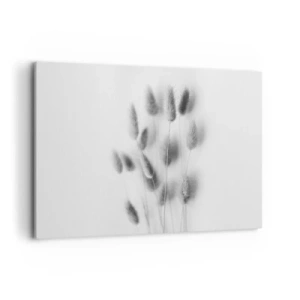 Impression sur toile - Image sur toile - Graminées délicates dans des tons de gris sur fond blanc - 100x70cm - Son herbe duveteuse - Décoration murale moderne pour le salon et la chambre ARTTOR