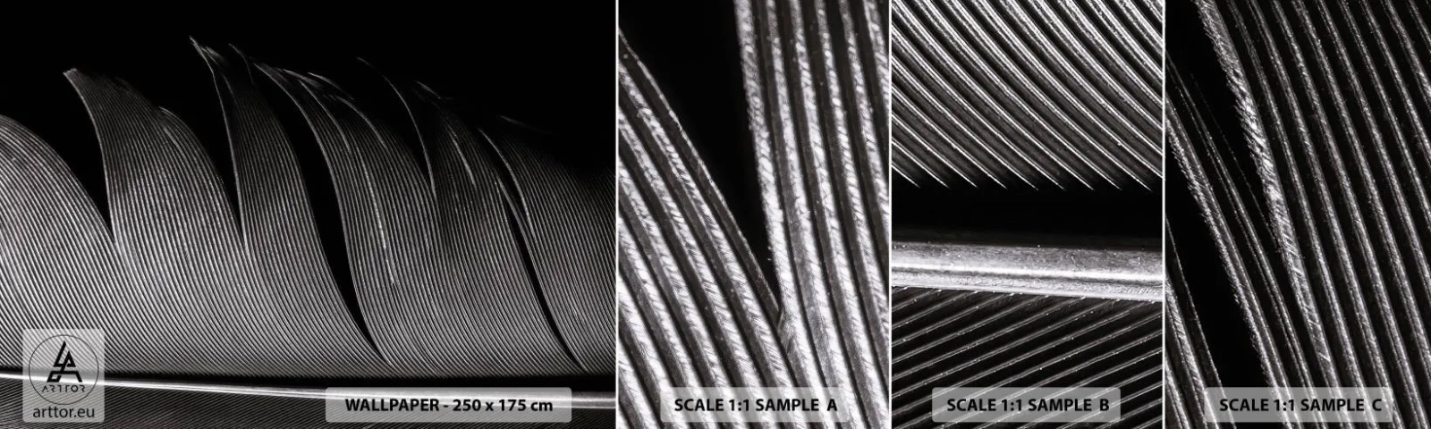 Échantillon de Papier Peint Autocollant Deluxe Sticker - La plume – un design magnifique - Stylo, Minimalisme, Légèreté - 100x30 cm