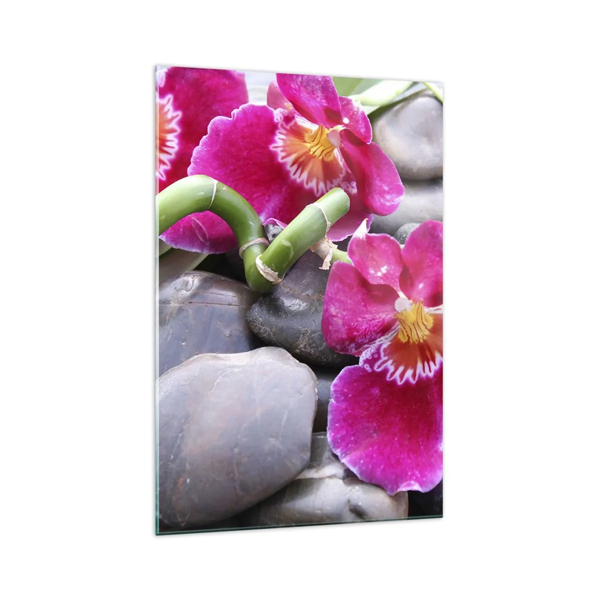 Impression sur verre - Image sur verre - Orchidées roses sur fond de pierres lisses - 70x100cm - Refroidir et chauffer - Décoration murale moderne pour le salon et la chambre ARTTOR