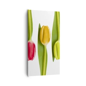 Impression sur toile - Image sur toile - Composition arc-en-ciel - 65x120 cm