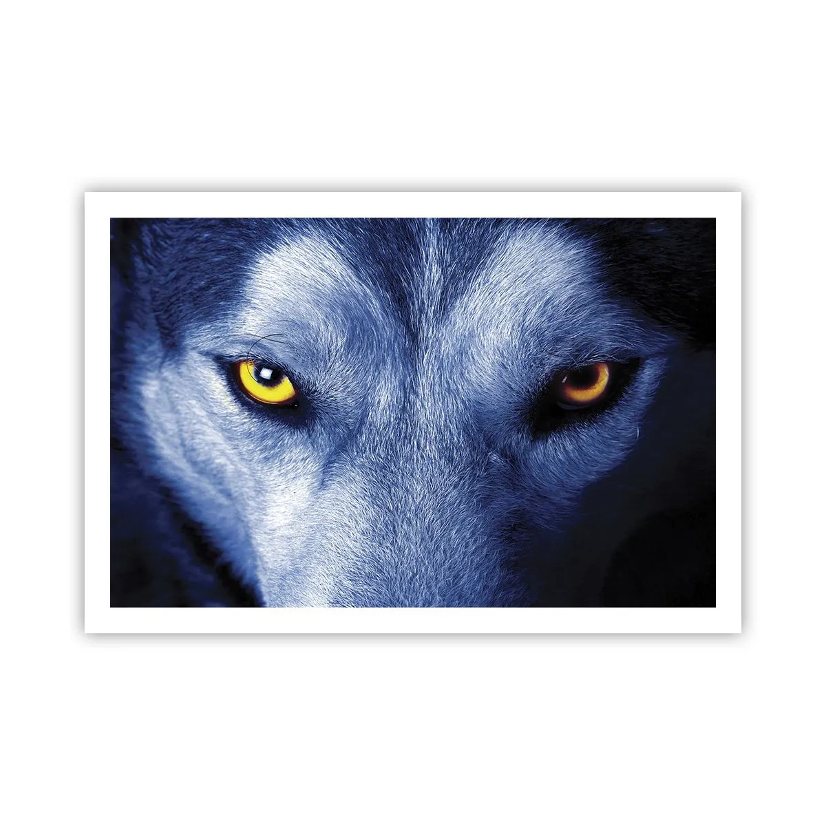 Affiche - Poster - Regars hypnotique - 91x61 cm