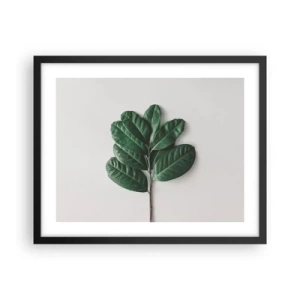 Affiche dans un cadre noir - Poster - Dessin de la nature elle-même - 50x40 cm