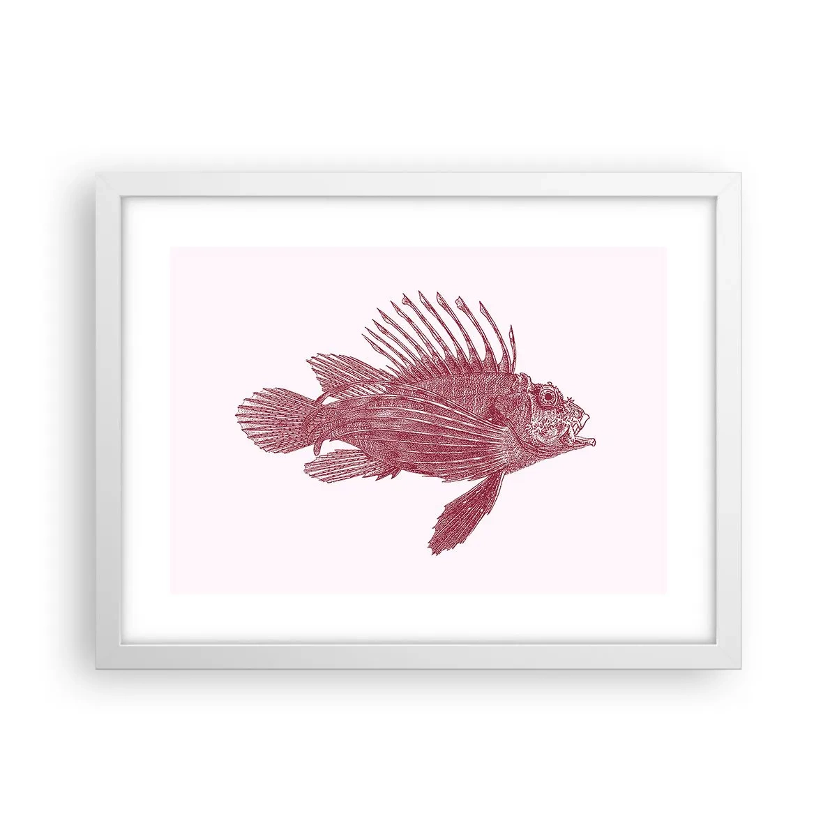 Affiche dans un cadre blanc - Poster - Un habitant des eaux exotiques - 40x30 cm