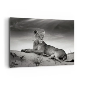 Impression sur toile - Image sur toile - Portrait noir et blanc d'une lionne dans la savane - 120x80cm - La reine du désert reste - Décoration murale moderne pour le salon et la chambre ARTTOR