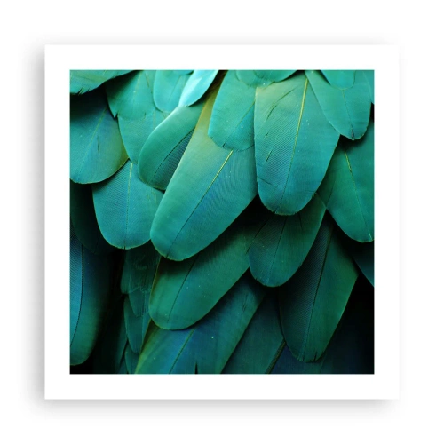 Affiche - Poster - Perfection de la nature du perroquet - 50x50 cm