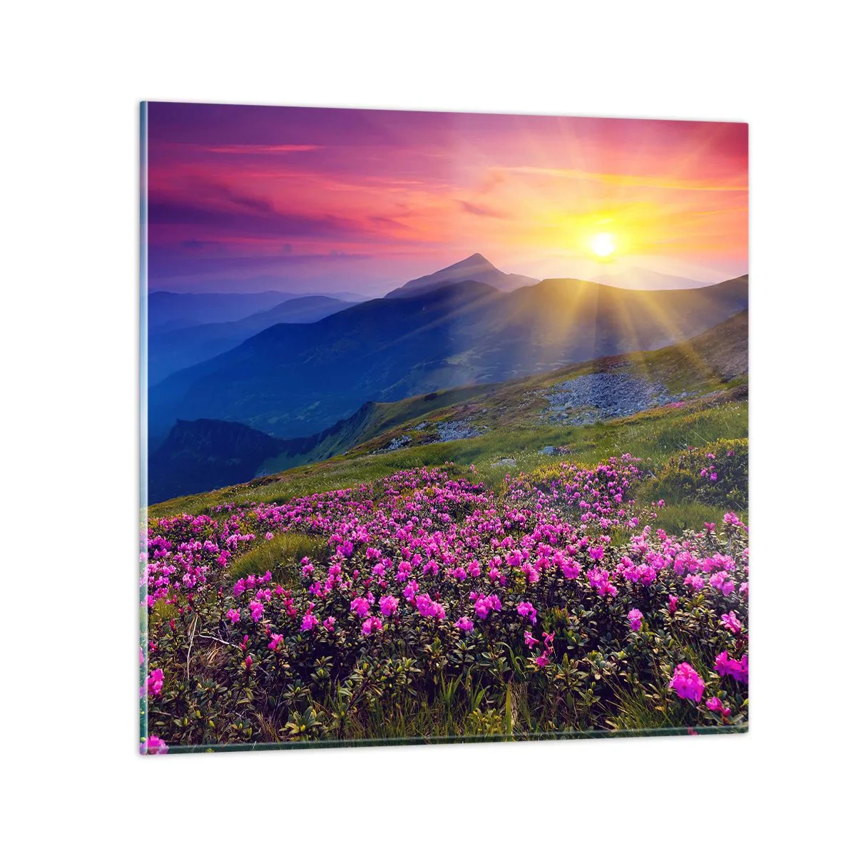 Impression sur verre - Image sur verre - … Et autour, ça sent le pin des montagnes et l'odeur de la prairie - 40x40 cm