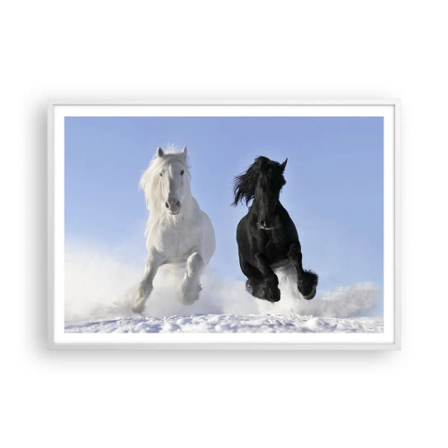 Affiche dans un cadre blanc - Poster - Galop noir et blanc - 100x70 cm