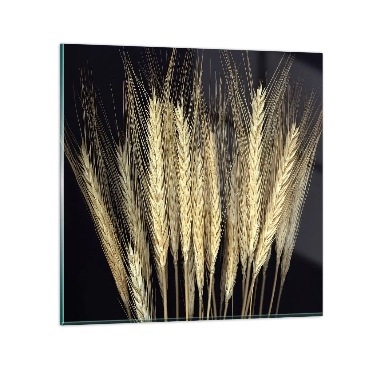 Impression sur verre - Image sur verre - Magie rustique - 70x70 cm