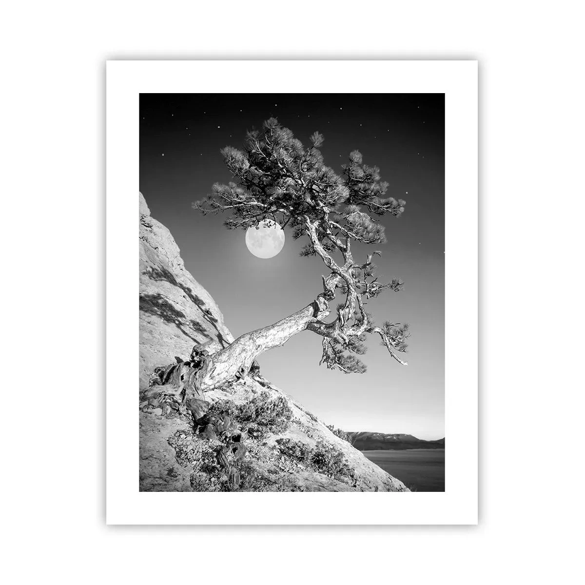 Affiche - Poster - Un combattant vainqueur - 40x50 cm